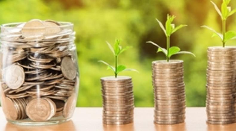 coins in jar and stacks of coins with plants growing from top of stack