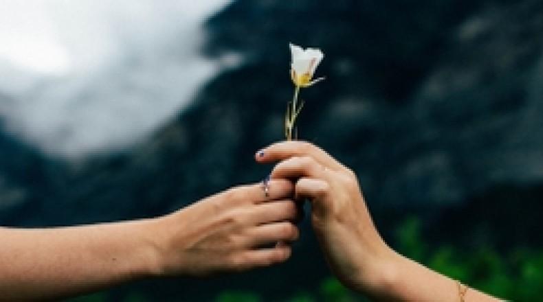 handing a flower to a person