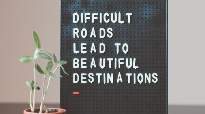 plant next to sign that reads difficult roads lead to beautiful destinations