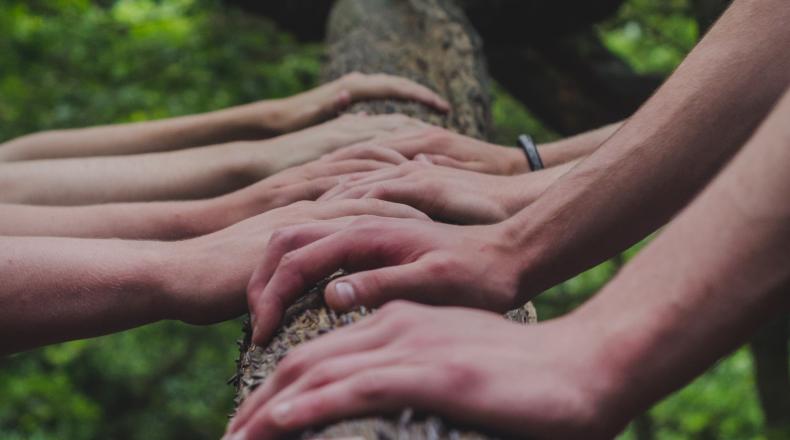 hands on a tree branch