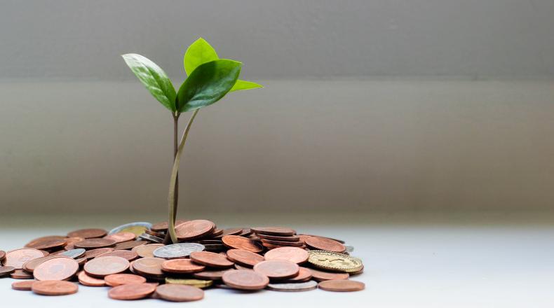 pile of coins with plant growing out from middle