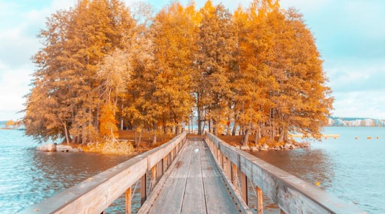 bridge crossing water to island with trees