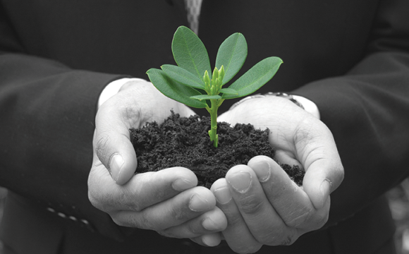 hands holding soil wtih a plant growing out of it