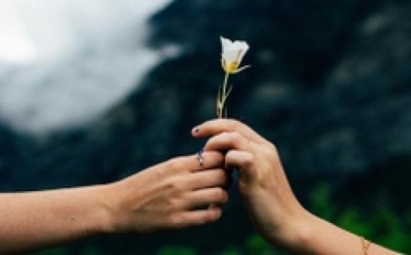 handing a flower to a person