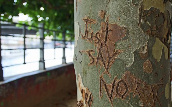 Just Say No on tree