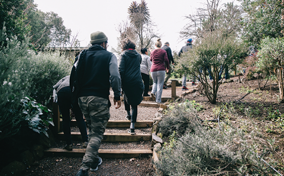 people walking up stairs and down a path