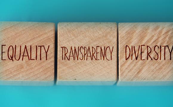 three wood blocks that say equility, transparency and diversity on a blue background