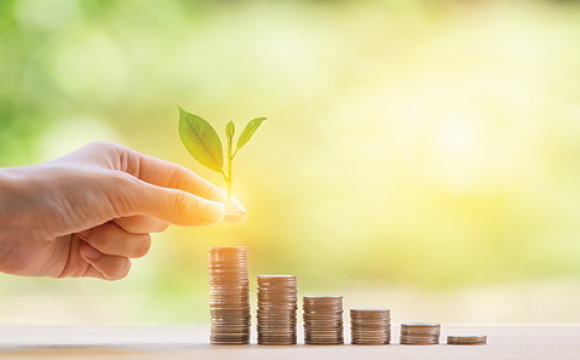 the hand is putting a plant on a stack of coins