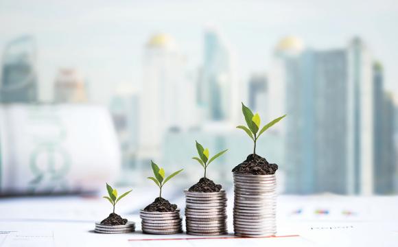 many tree sprouts growing money like stacks of coins