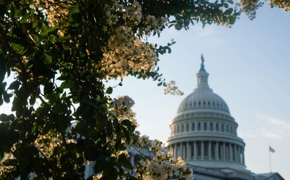 Capitol Hill