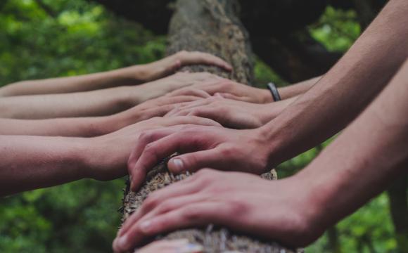 hands on log